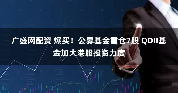 广盛网配资 爆买！公募基金重仓7股 QDII基金加大港股投资力度