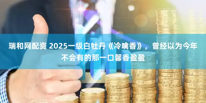 瑞和网配资 2025一级白牡丹《冷噙香》，曾经以为今年不会有的那一口馨香盈盈