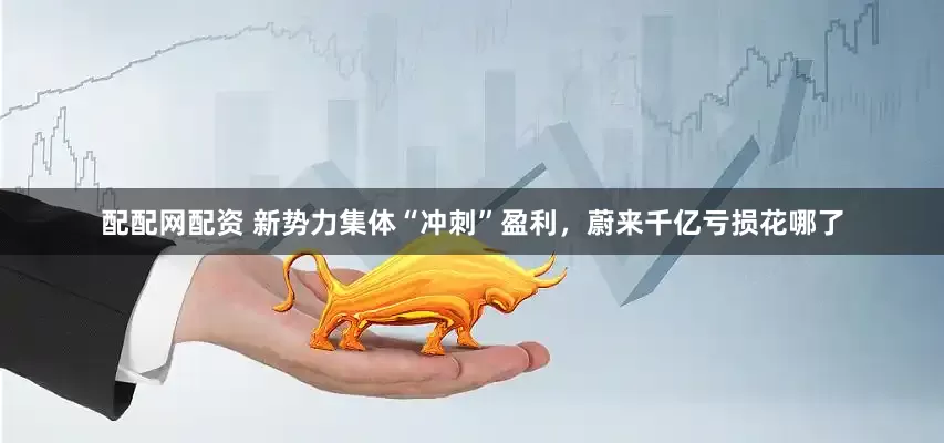 配配网配资 新势力集体“冲刺”盈利，蔚来千亿亏损花哪了