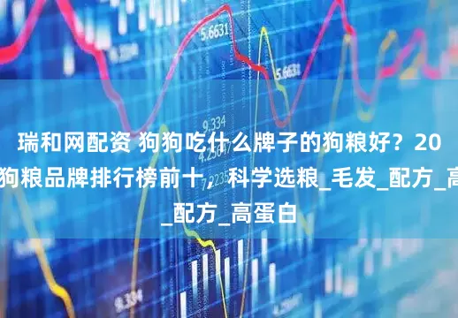 瑞和网配资 狗狗吃什么牌子的狗粮好？2025年狗粮品牌排行榜前十，科学选粮_毛发_配方_高蛋白
